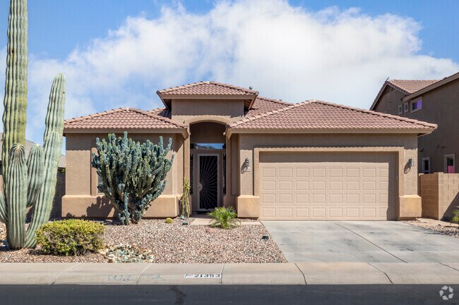Cactus grow well in the arid climate of Rancho El Dorado.