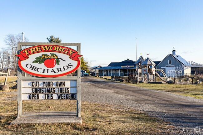 Treworgy Family Orchards invites visitors to cut their own Christmas trees during the season.