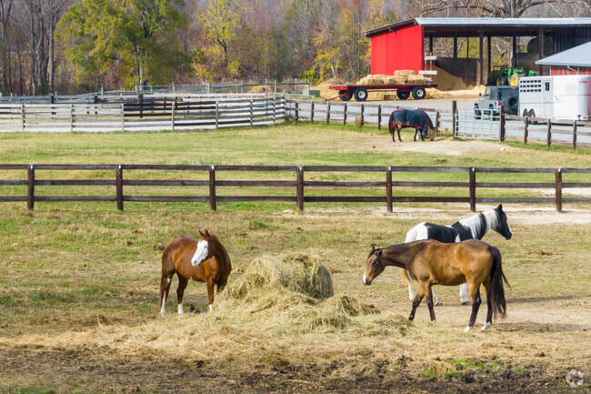Steeple Chase residents can take horseback riding lessons at Shooting Star Horse Farm.