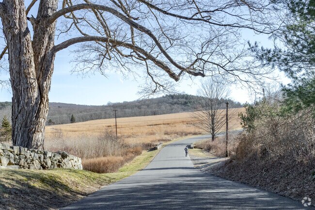 A runner enjoys the open space of Ward Pound Ridge Reservation in Pound Ridge.