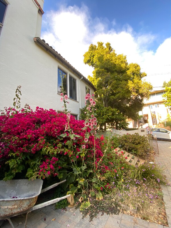 1701 Le Roy Ave unit 6, Berkeley, CA 94709 - photo 5