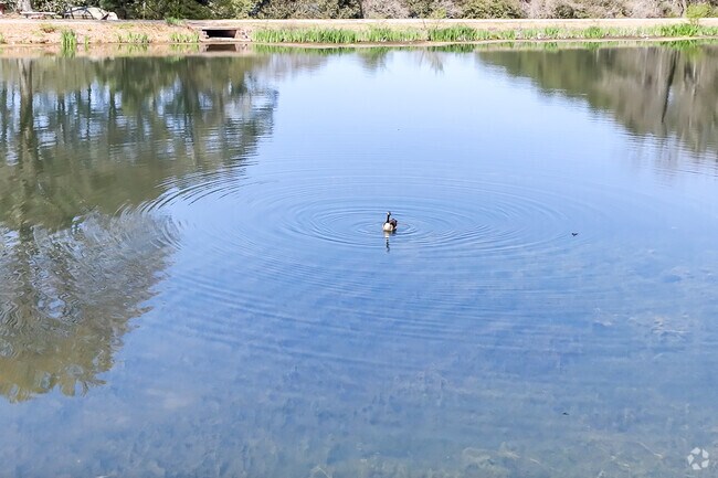 Spring Lake features a natural spring located in the center of the neighborhood.
