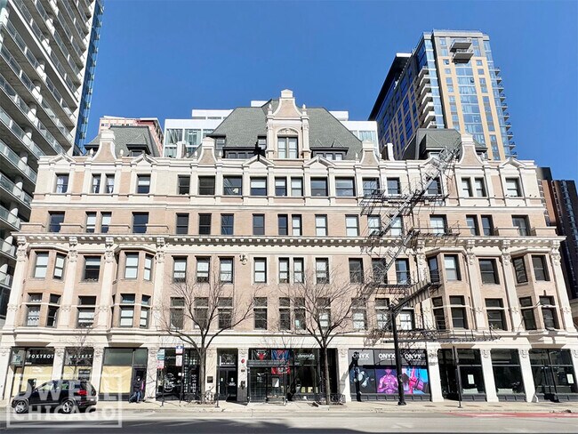 118 W Chicago Ave unit 2, Chicago, IL 60654 - photo 2