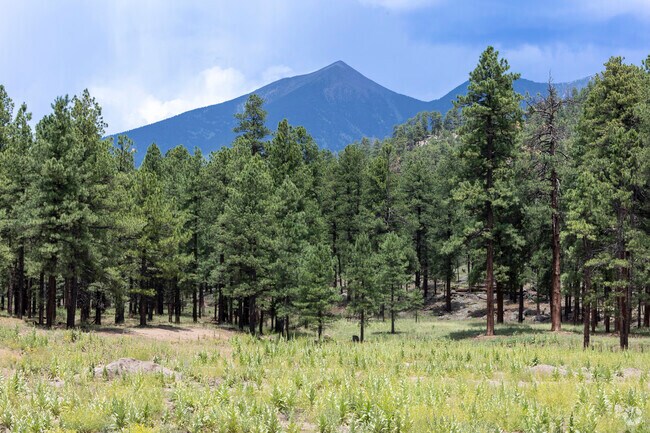 The San Francisco Peaks are visible from Boulder Point.