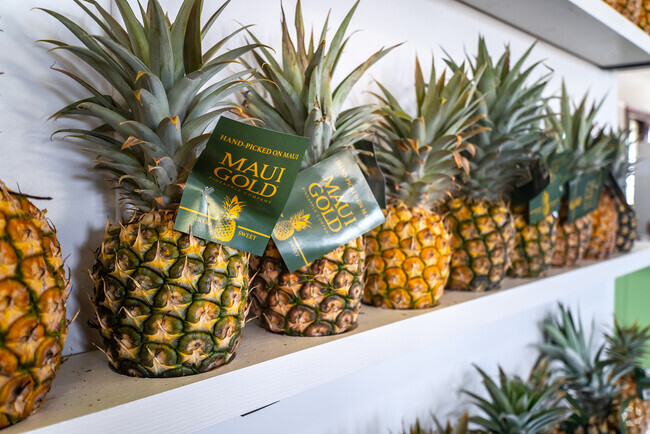Historically, Haiku-Pauwela played a significant role in Hawaii's pineapple industry, with the Pauwela Cannery serving as a major processing facility during the sugar plantation era .