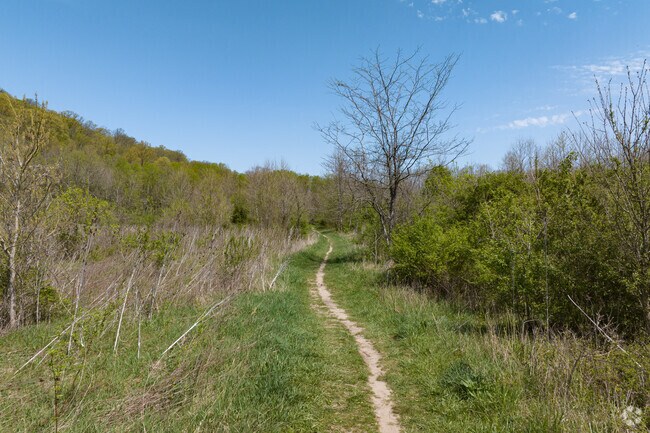 Walking trails throughout Kroger Hills Nature Preserve in Terrace Park.