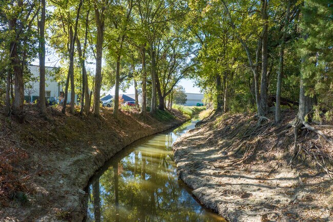 Stroll beside a tree-covered stream in Arnould Heights, Lafayette.