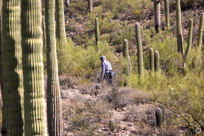 Hiking and outdoor activities are common pastimes for Tucson Park West #1 residents.