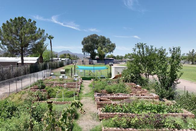 Flowing Wells' Homer Davis Elementary School uses this garden to teach in a unique fashion.