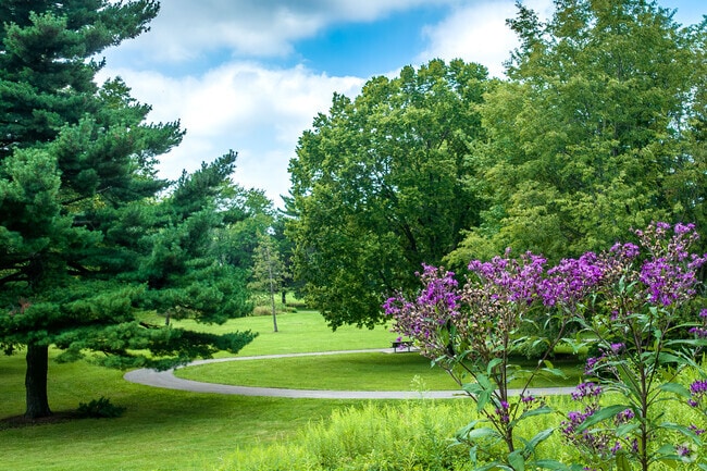 Many homes in Walnut Hills back up to the namesake park.