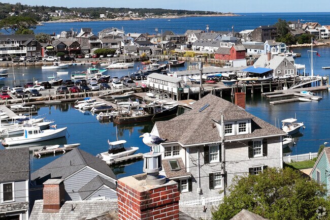 A Seagull keeps watch over the homes in Rockport.