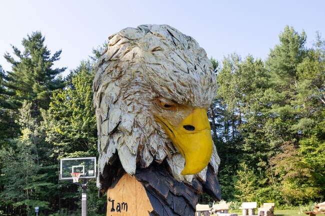 Situated in the very heart of the town, Kings Park serves as Middleton's centerpiece.