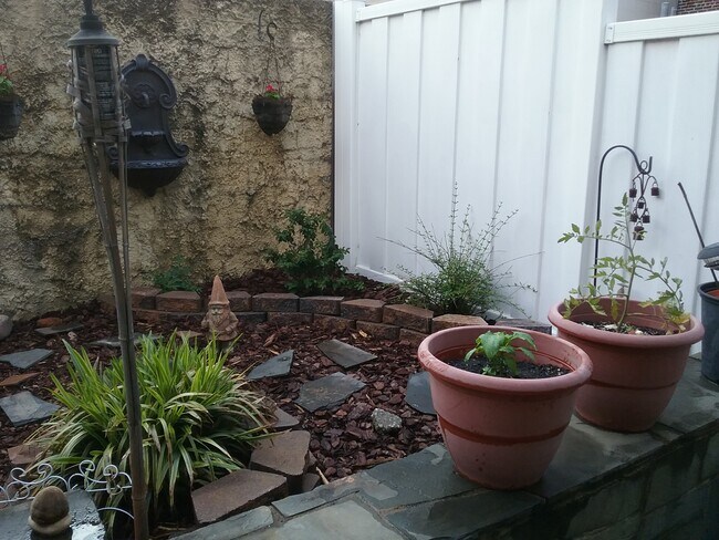 Cozy backyard plus balcony off main Bedroom plus rooftop deck too!