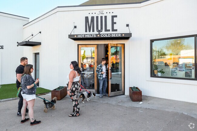 The Mule offers locals of Las Vegas a variety of cocktails and scrumptious dinner options.