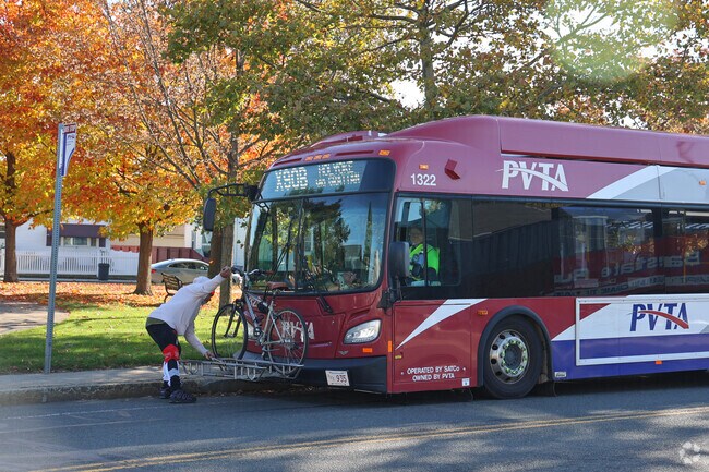 Public Buses run throughout Aldenville.