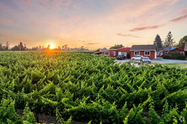 Silverado Resort has homes nestled in the middle of vineyards in Napa.