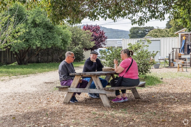 It's common to see people enjoying the outdoors in Point Reyes.