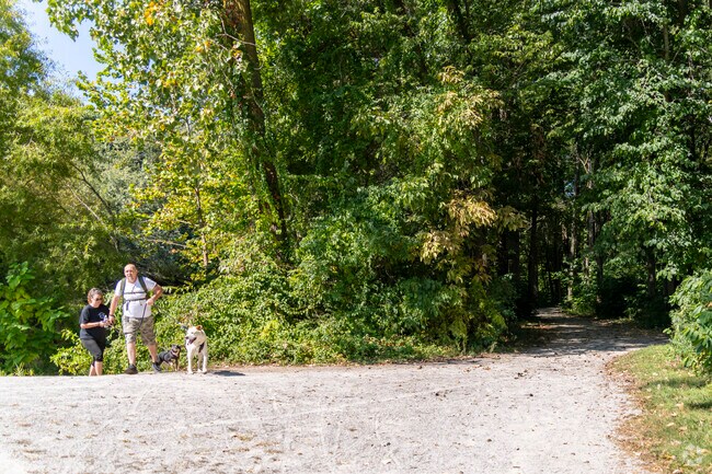 Shoup-Parsons Woods has plenty of places to take your dogs for a walk.