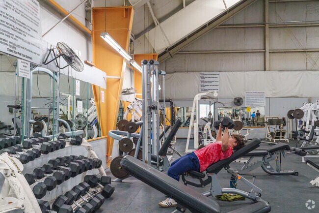 Get your lifts in at the Lakewood Family YMCA near North Harmony.