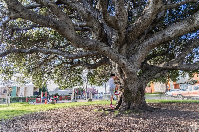 Manzanita Recreation Center in Lynn has green space and a playground.