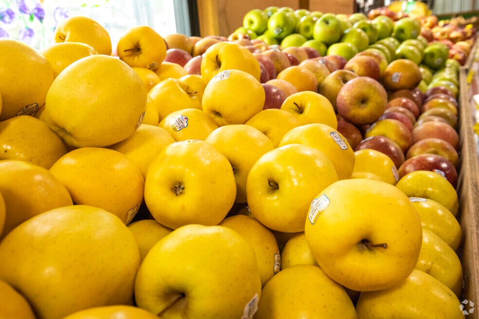 neighborhood_belmar_V1_021224