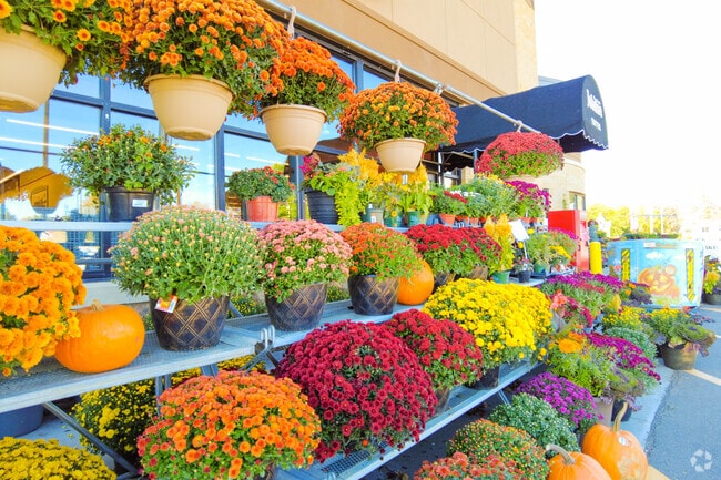 Jubilee Foods in Mound offers fresh produce and friendly local service.