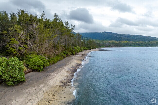 Waihee Coastal Dunes and Wetlands is a retreat for Hawaiian monk seals and green sea turtles.