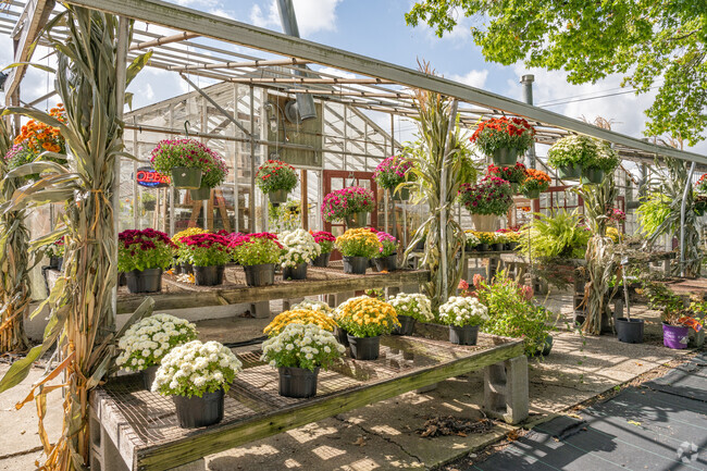 Puritas Nursery provides gardening and landscaping essentials for Riverside locals.