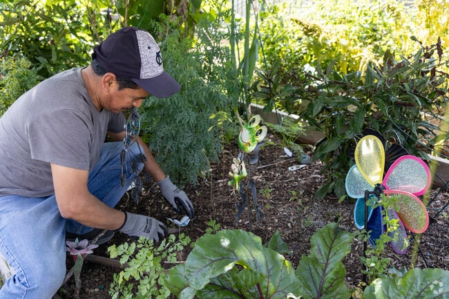 The West Athens Victory Garden in Westmont is home to plant beds and a learning garden.