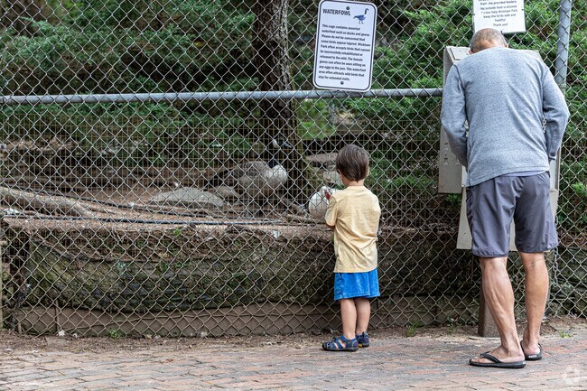 Manchester kids can feed birds in the aviary at Wickham Park.