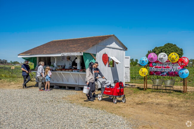 SL Strawberry Farm has the freshest home-grown berries in Vineyard.