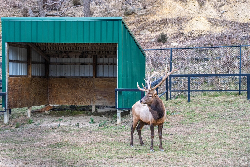 Ramsey Park Zoo lets visitors experience Minnesota wildlife in Redwood Falls’ scenic setting.