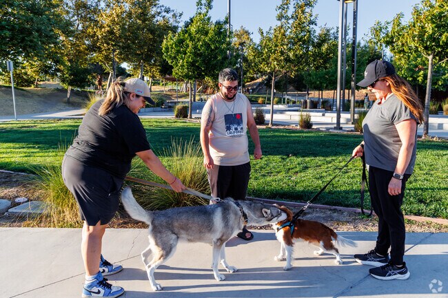 Fallon Sports Park offers dog friendly walk path for East Dublin dog owners.