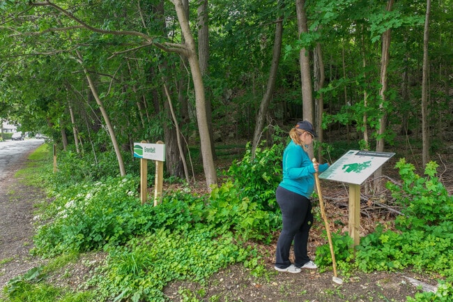 Discover a new trail to explore at the scenic Beverly Commons Conservation Area in Beverly Farms.