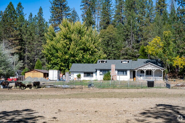 Large homes with cows can be found in the Wimer neighborhood.