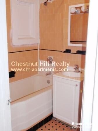 1223 Beacon St unit 407, Brookline, MA 02446 - photo 4