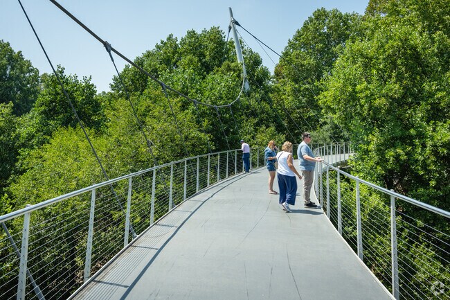 The Liberty Bridge is a major attraction at Falls Reedy Park near Dunean.
