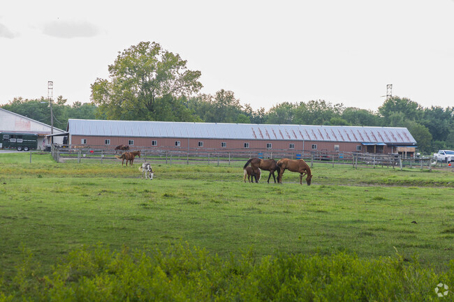 You can find farm animals grazing the grass of Popular Grove.
