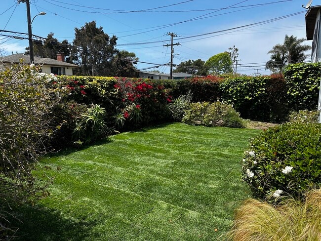 Front Yard