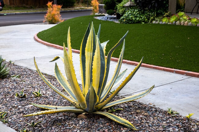 Ocean Crest features manicured sidewalks, tidy front yards, and large homes for families.