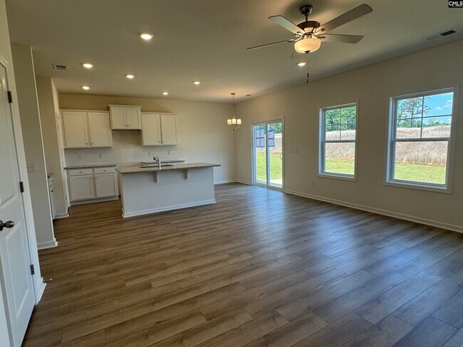 1064 Flat Coat Ln, Chapin, SC 29036 - photo 5