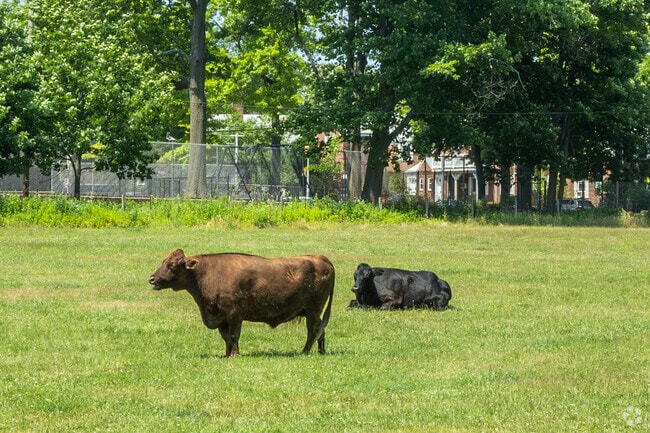 The Queens County Farm Museum hosts educational programs for hands on learning at the farm.