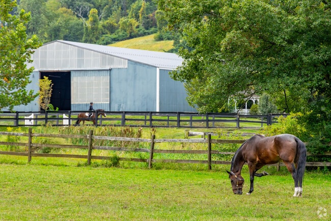 Harding is surrounded by serene rural views.