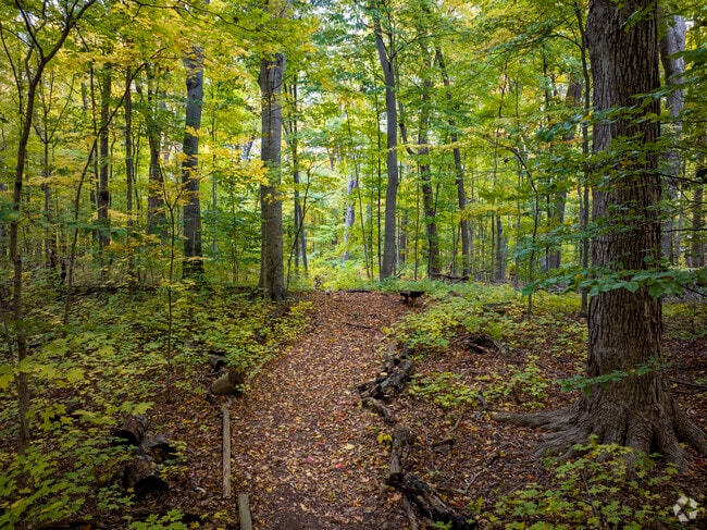 Locals can take a stroll in Millers Woods, located in Plymouth Township.