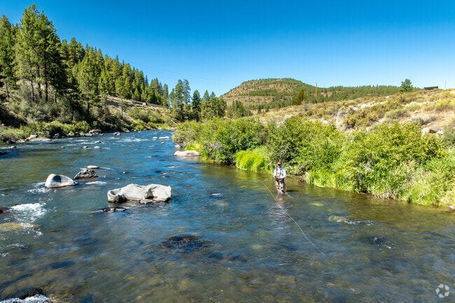The Truckee River winds through lush greenery, offering a peaceful fly fishing spot.
