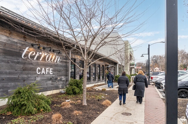 Terrain Cafe with its natural, green setting is a popular spot for lunch in Devon.