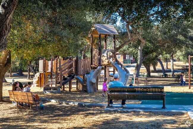 Kids enjoy the playground at Live Oak Park in Fallbrook.