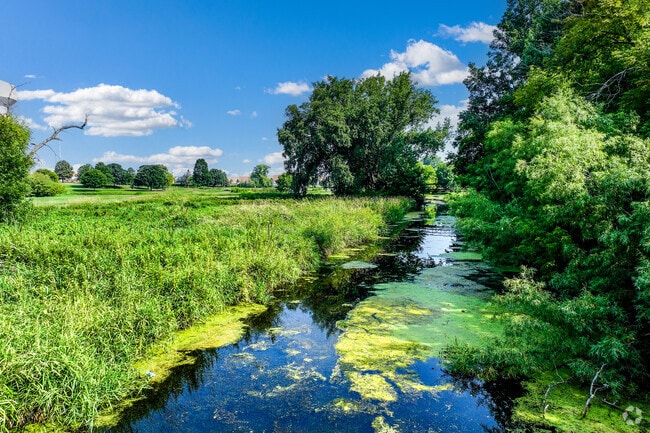 Shingle Creek runs diagonally through the neighborhood, providing a scenic backdrop.