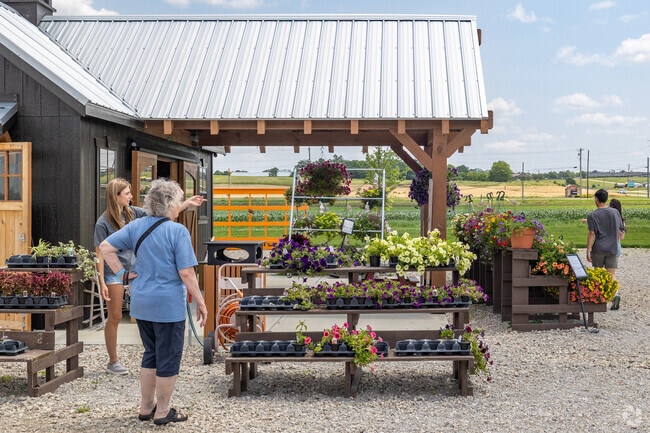 Garver Family Farm Market has seasonal goods such as flowers, wildlife feed & pumpkins for residents of Amanda-Oneida.