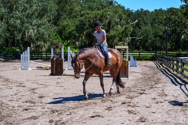Enjoy horseback riding at Canter Down Farms, minutes from Turnbull Shores.